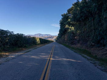 Empty road amidst trees against sky