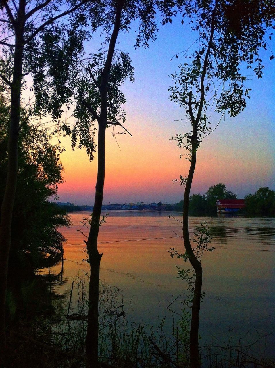 sunset, water, tranquility, tranquil scene, scenics, tree, silhouette, beauty in nature, reflection, nature, bare tree, lake, orange color, branch, sky, idyllic, tree trunk, sea, horizon over water, lakeshore