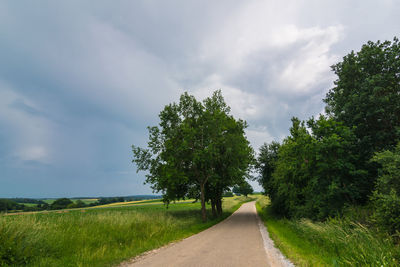 Road amidst trees against sky