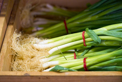 High angle view of leeks for sale in crate at market