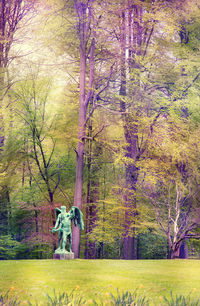 Trees in park