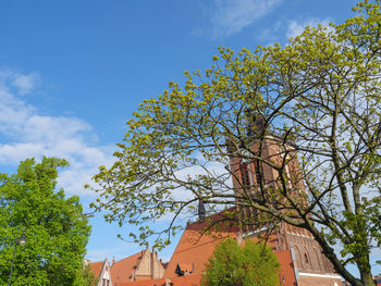 Low angle view of tree and building against sky