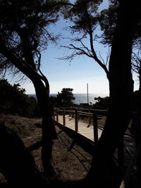 Silhouette trees on field by lake against sky