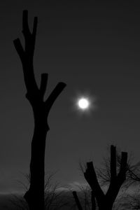 Low angle view of silhouette bare tree against sky