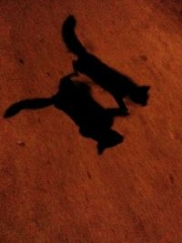 Shadow of silhouette person on floor