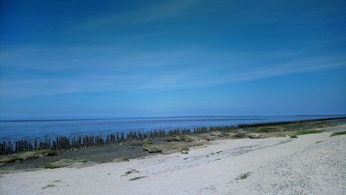 Scenic view of beach against blue sky