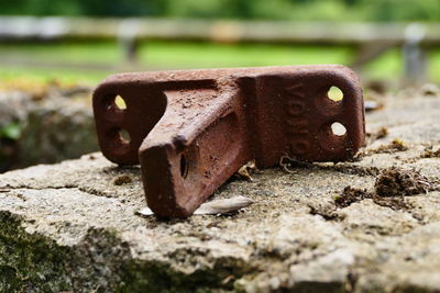 Close-up of rusty pipe