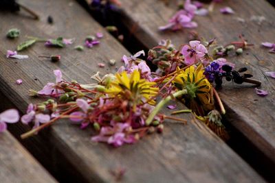 High angle view of pink flowering plant on table