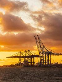 Shipping cranes at sunset