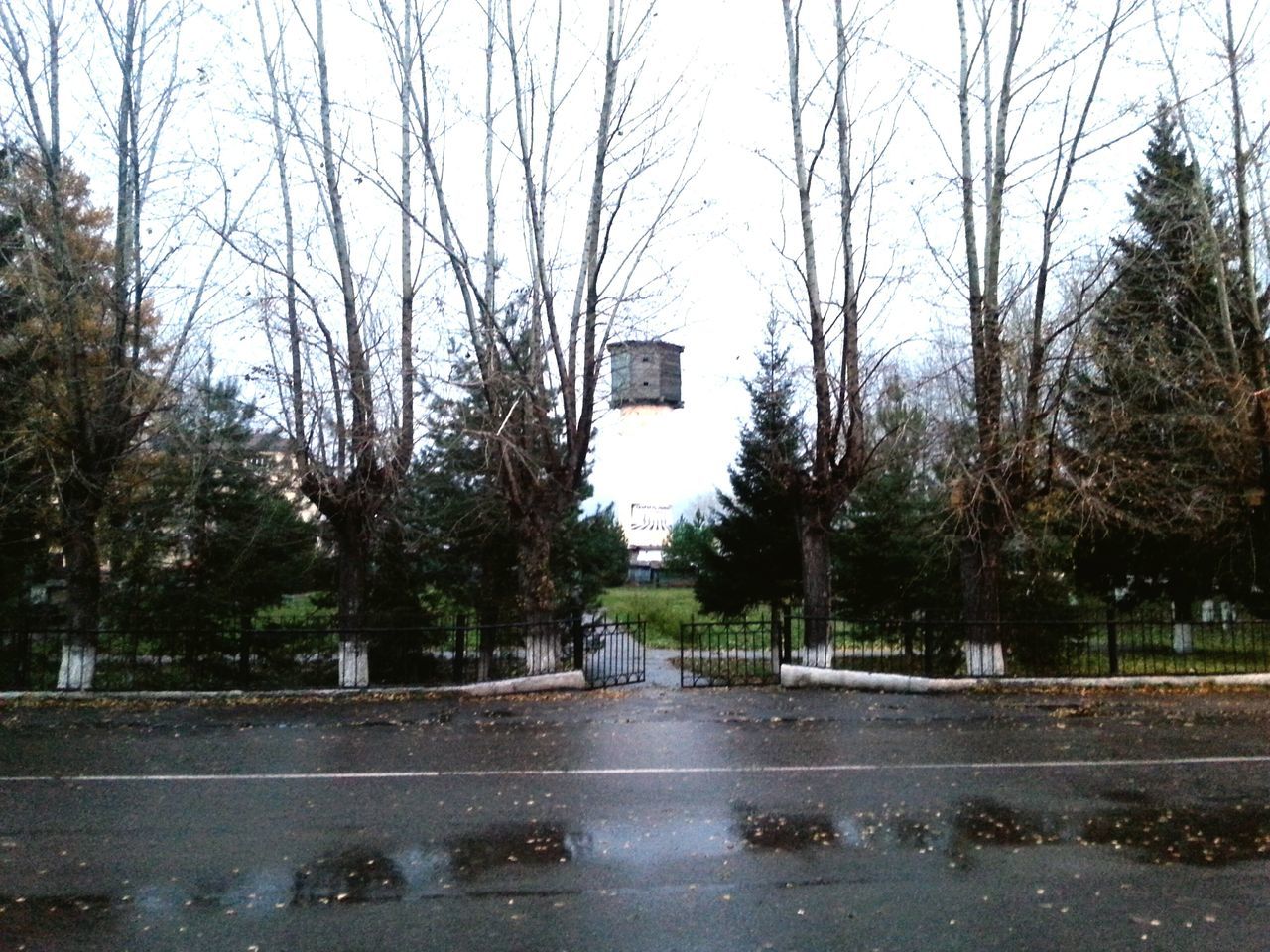 tree, built structure, building exterior, bare tree, road, architecture, street, transportation, season, day, wet, the way forward, water, park - man made space, clear sky, car, branch, sky, city, rain