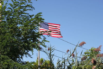 Low angle view of american flag against sky