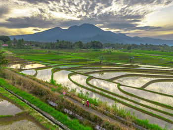 landscape