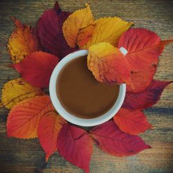 High angle view of coffee with leaves on wooden table