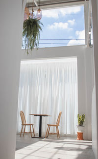 Potted plants on table at home