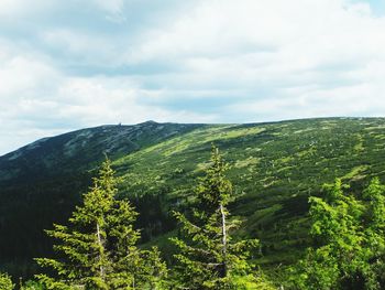 Scenic view of green landscape against sky