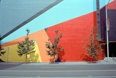 Low angle view of trees against a wall