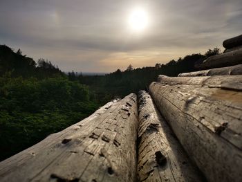 Surface level of wood against sky
