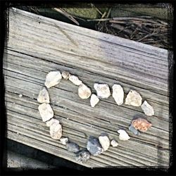 Close-up of logs on wooden logs