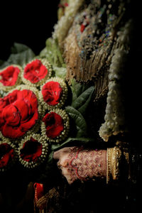 Close-up of red flowers
