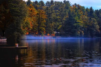 Scenic view of lake by trees during autumn