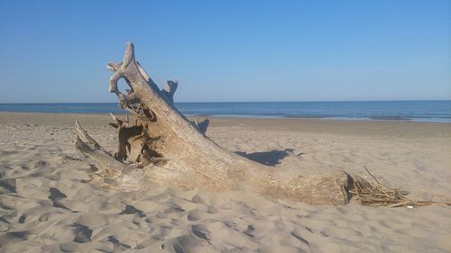 Horse sculpture on beach against clear sky