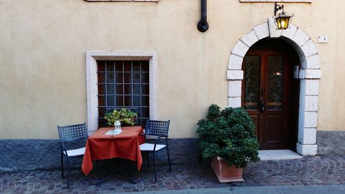 Potted plant by window