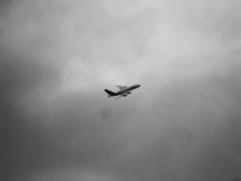 Low angle view of bird flying in sky