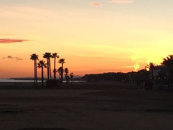 Palm trees at sunset