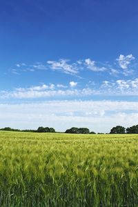 Scenic view of field against cloudy sky