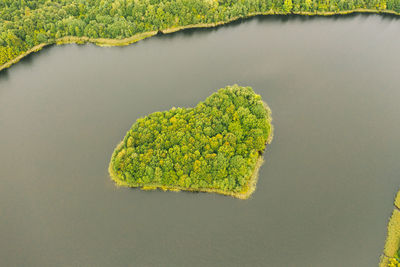 Aerial view over an island. the island is formed as a green heart.