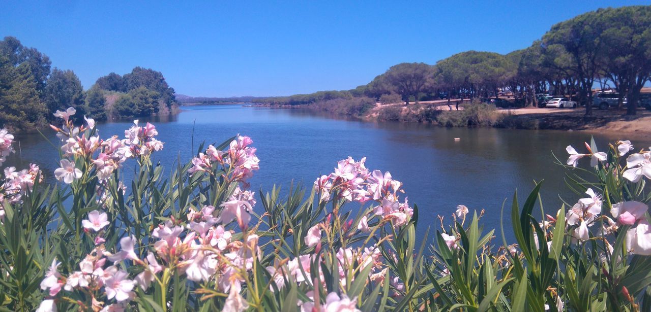 SCENIC VIEW OF BLUE LAKE