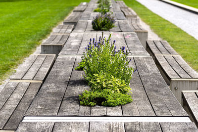 Benches and tables with flowers arranged in a row in the park, in the background a lawn.