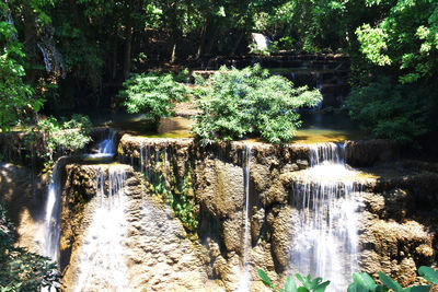 Scenic view of waterfall in forest