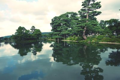 Reflection of trees in water