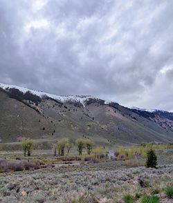 Sun valley badger canyon sawtooth mountains national forest landscape trail creek road idaho usa