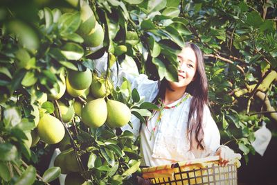 Smiling young woman picking fruits