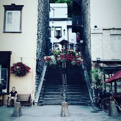 Potted plants on balcony