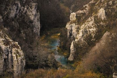 Scenic view of waterfall