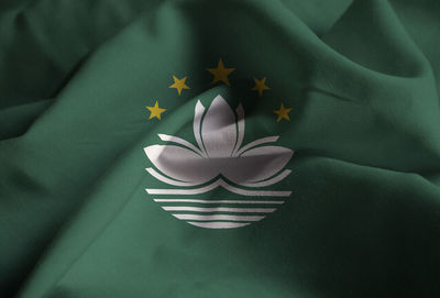 High angle view of flowering plant