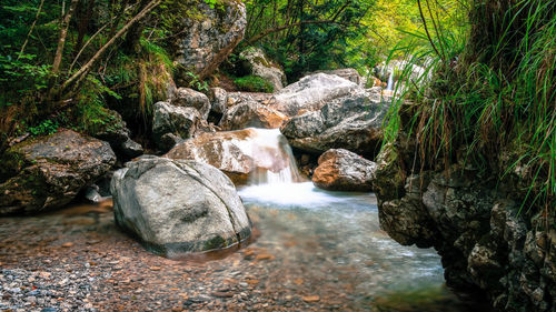 Stream flowing through rocks in forest