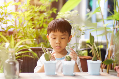 Cute boy sitting on table by potted plant