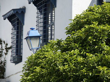 Low angle view of street light by building