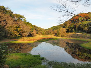 Scenic view of lake in forest against sky