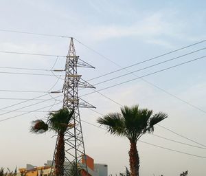 Low angle view of palm tree against sky