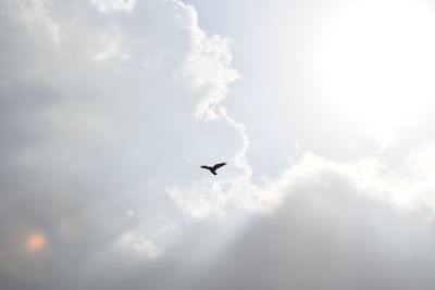 Low angle view of airplane flying in sky