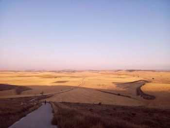 Scenic view of landscape against clear sky