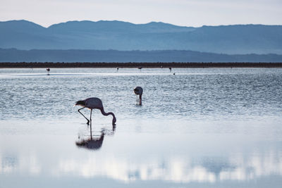 People in lake