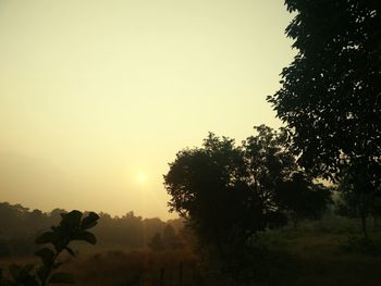 Silhouette trees on field against sky at sunset