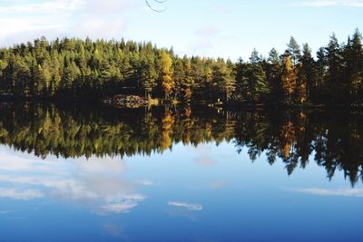 Reflection of trees in lake against sky