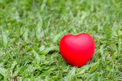 Close-up of red heart shape on field